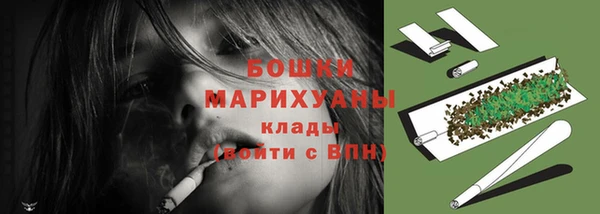 ПСИЛОЦИБИНОВЫЕ ГРИБЫ Гусиноозёрск