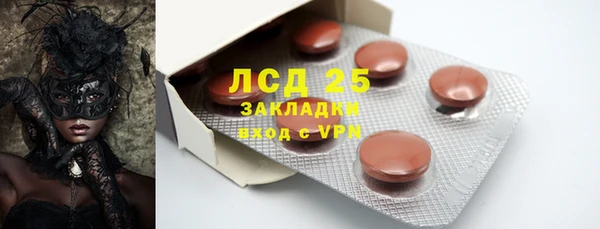 ПСИЛОЦИБИНОВЫЕ ГРИБЫ Гусиноозёрск
