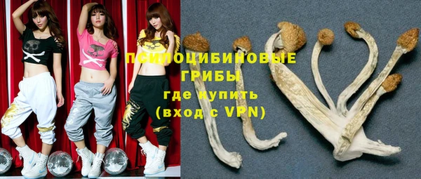 амф Гусь-Хрустальный
