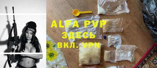 амф Гусь-Хрустальный